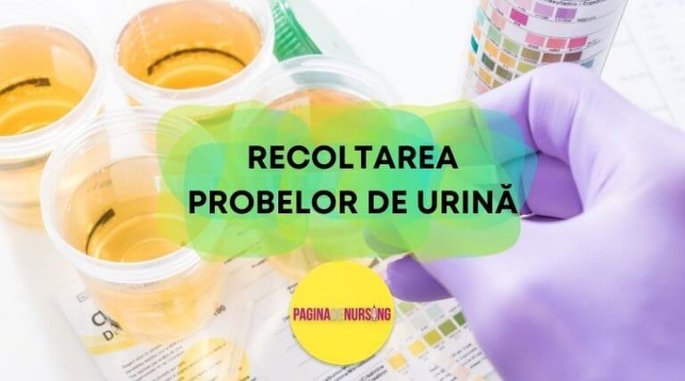 Recoltarea Probelor De Urin Pagina De Nursing