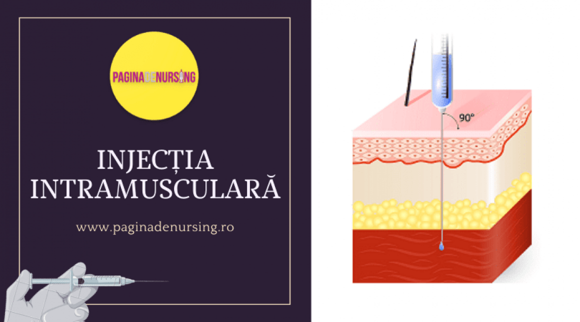 Injectia Intramusculara Locuri De Electie Injectii – Pagina de Nursing