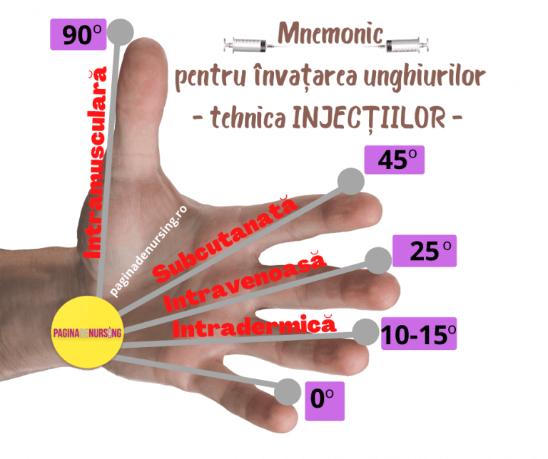 Injectia Intramusculara Locuri De Electie Injecții - Pagina de Nursing