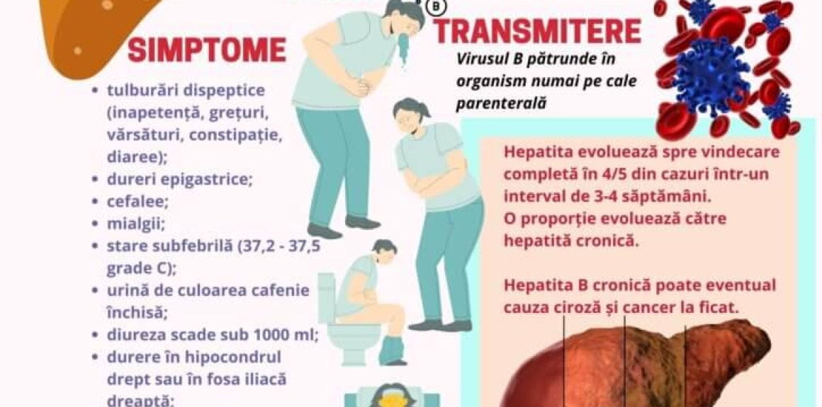 Hepatita B (îngrijirea Pacientului Cu Hepatita B) – Pagina De Nursing