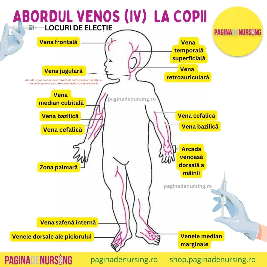 Injectia Intramusculara Locuri De Electie Injecția intravenoasă – Pagina de Nursing